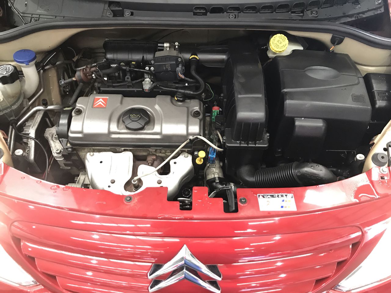 Take it to the Grave Pinot Noir (6x 750mL)