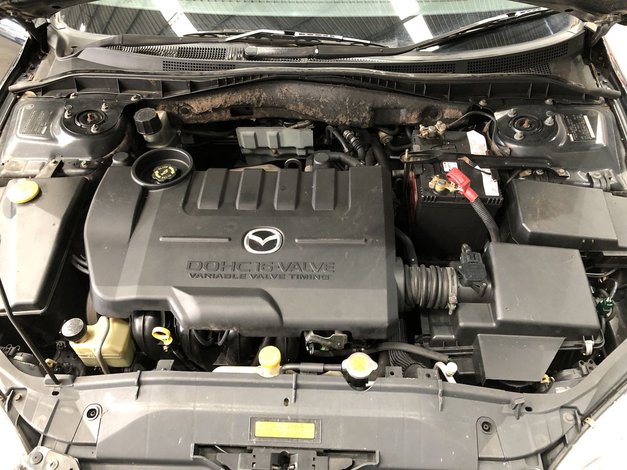 Stalking Horse Cabernet Sauvignon 2021 (12x 750mL) Langhorne Creek, SA