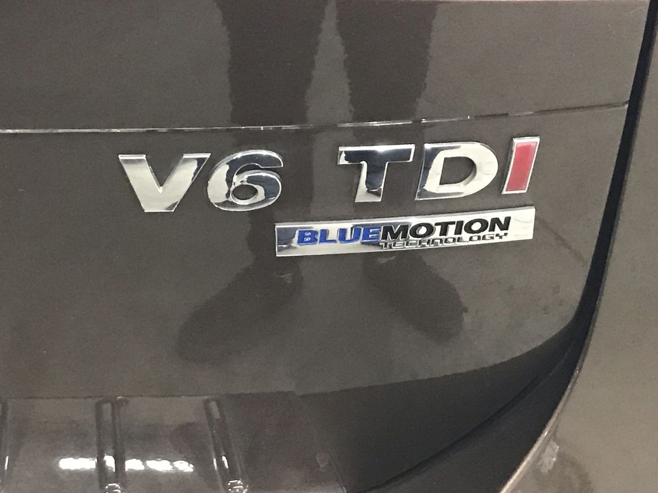 DOLCE & GABBANA Leopard Sunglasses