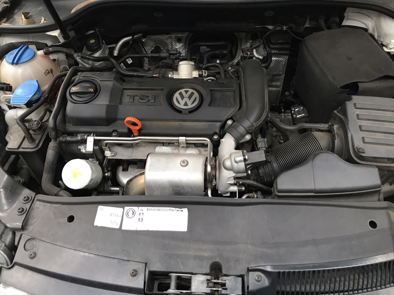 Premium Wood Fired Pizza Oven