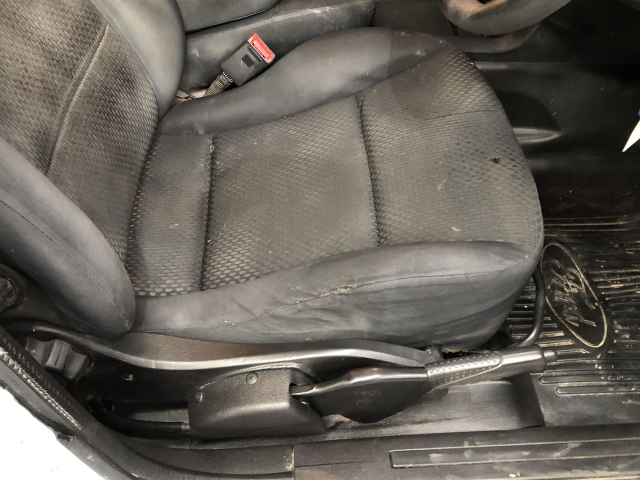 18k Yellow Gold Plated Tree of Life Earrings (Stamps 18k)