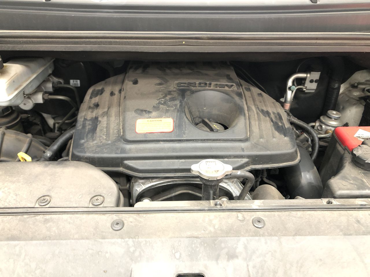 Snake + Herring Sabotage Riesling 2022 (6x 750mL) Great Southern