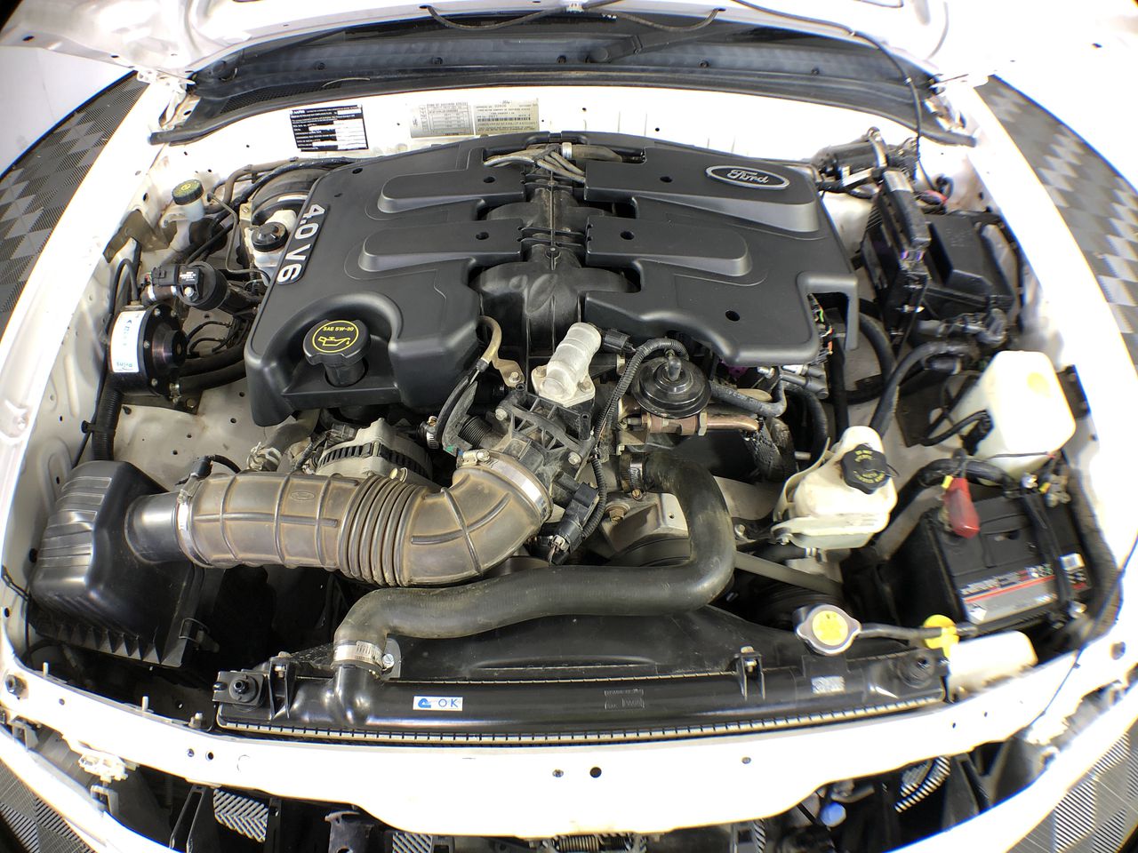 Stainless Steel Double Layer Choker "Clover"  Necklace  - Yellow