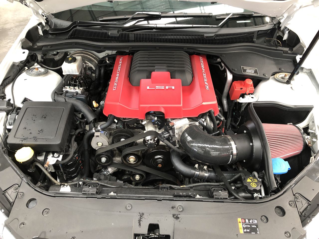 Designer Stainless Steel “Tree of Life” Bracelet