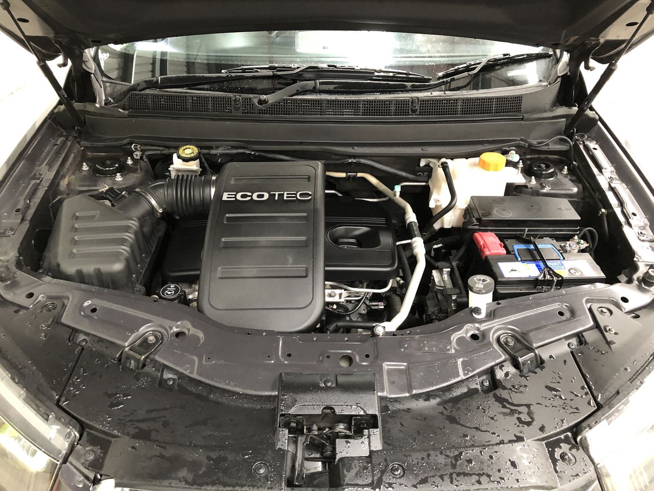 1/10 Oz 999.5 Silver Brumby 2025 Australian Bullion Merchants Round