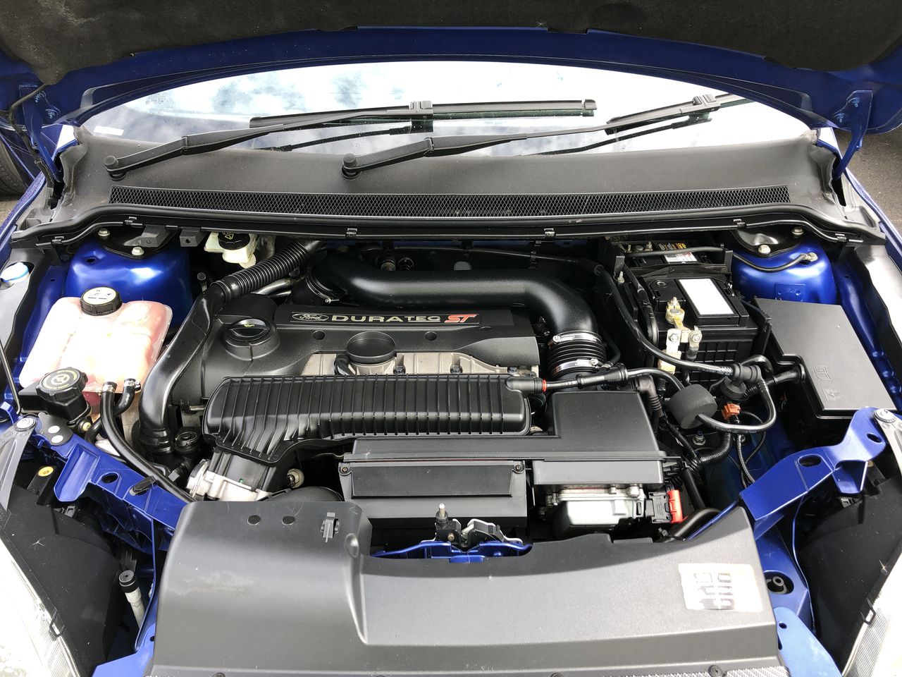 Thomson Estate Clare Valley Merlot 2023 (12x 750mL) SA