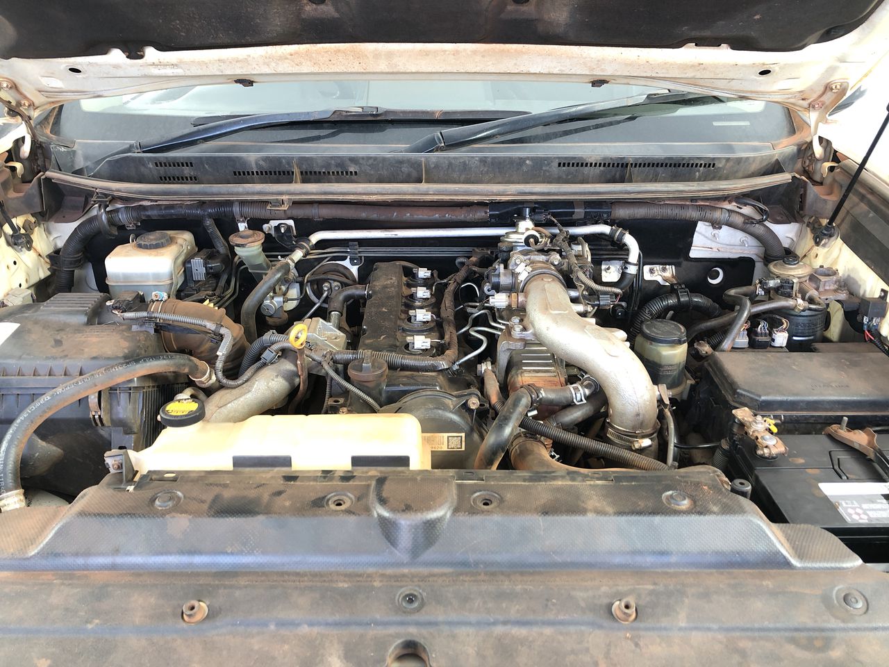 Cleanskin Shiraz Cabernet 2023 (12x 750mL) Langhorne Creek