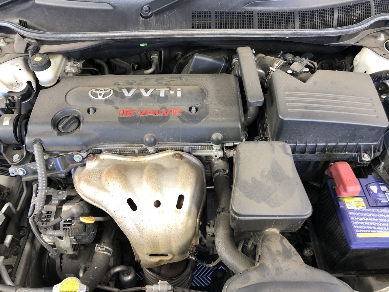 8mm Aqua Terra Jasper Beaded Stretchy Bracelet