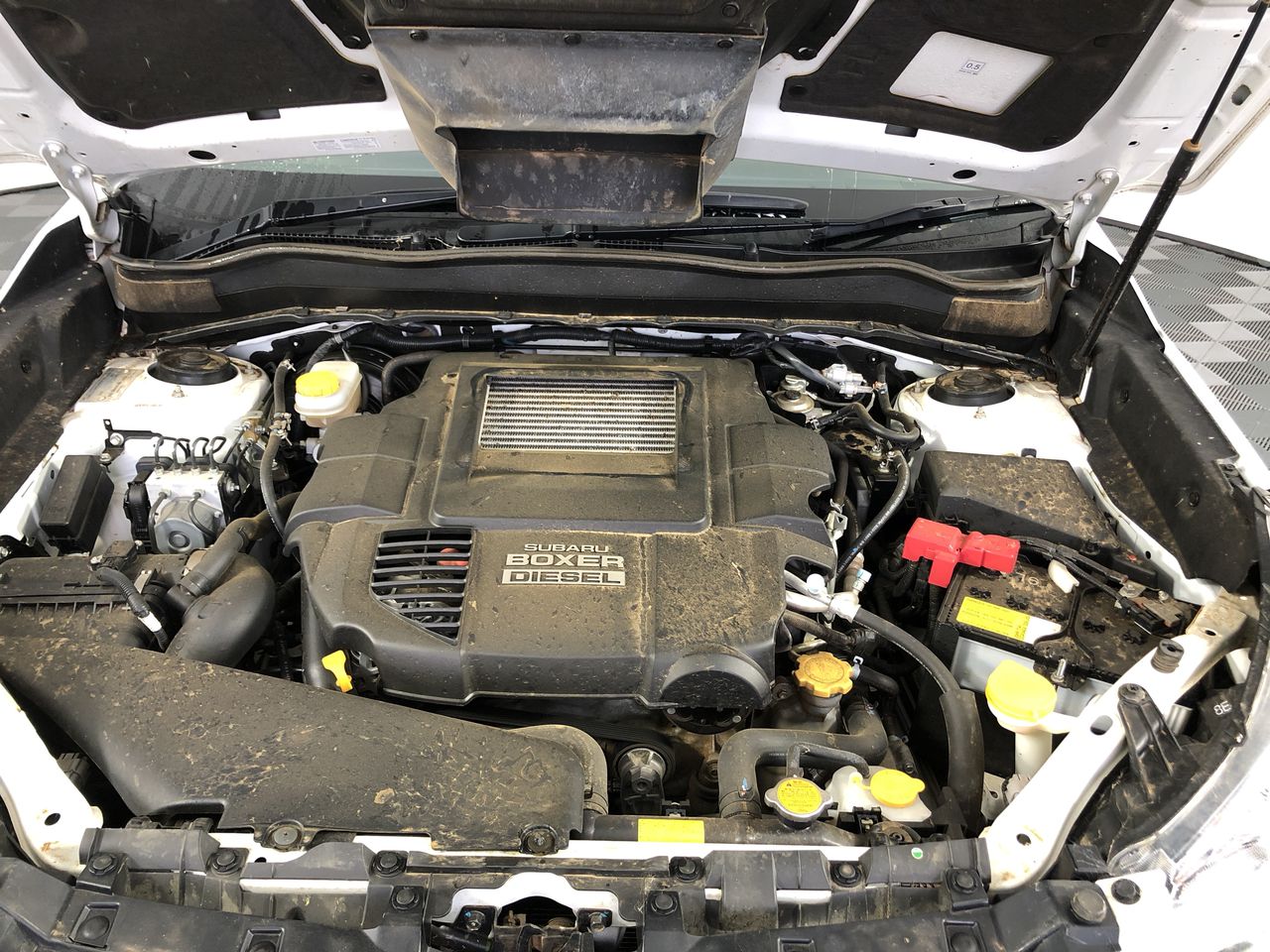 Designer Silver Bracelet (can add charms)