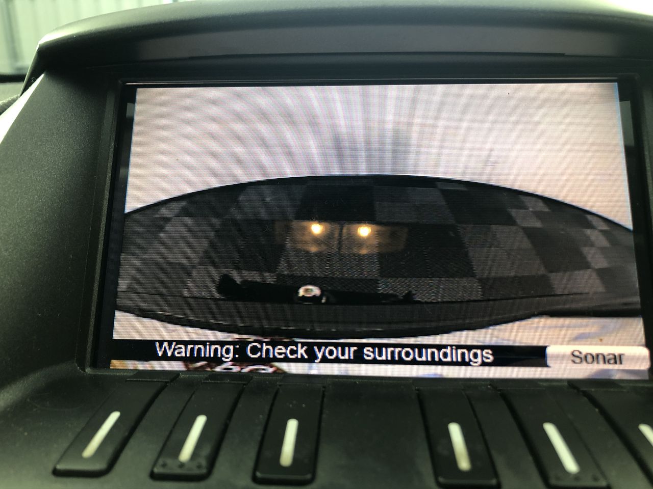 1981 Australia Six Coin Queen Elizabeth Proof Set-High in Demand