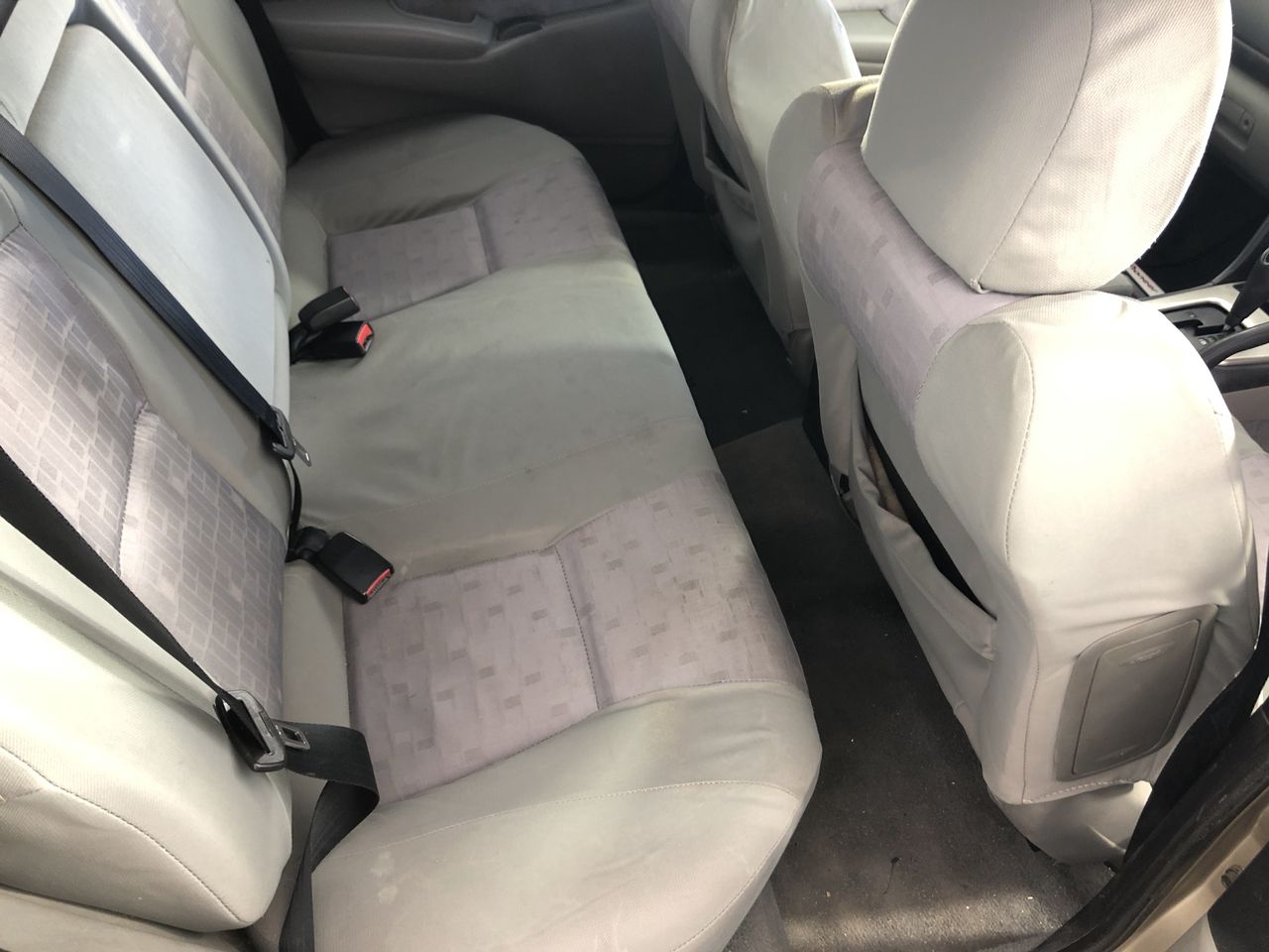 Barramundi Shiraz Petit Verdot 2019 (12x 750mL) SEA