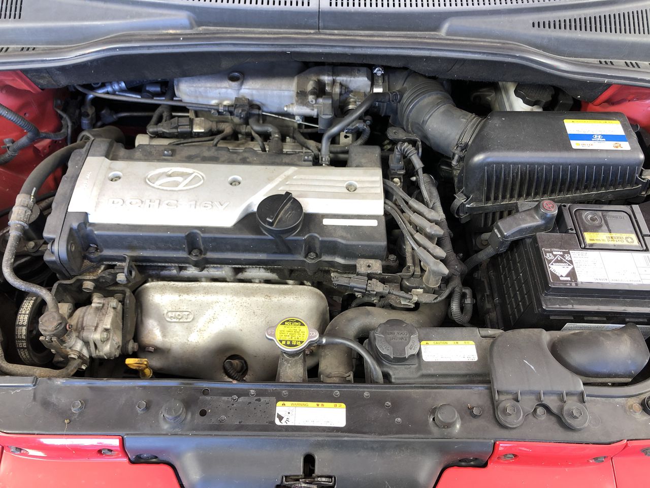 Abbott's Cove Sauvignon Blanc 2024 (6x 750mL) Marlborough