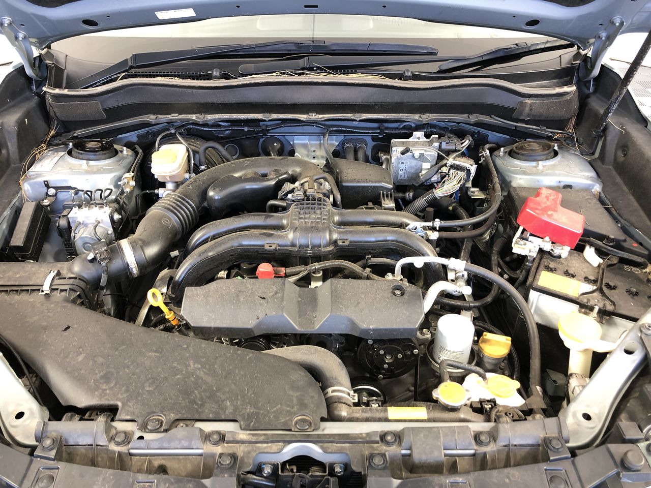 SINA Sauvignon Blanc 2024 (6x 750mL) Marlborough