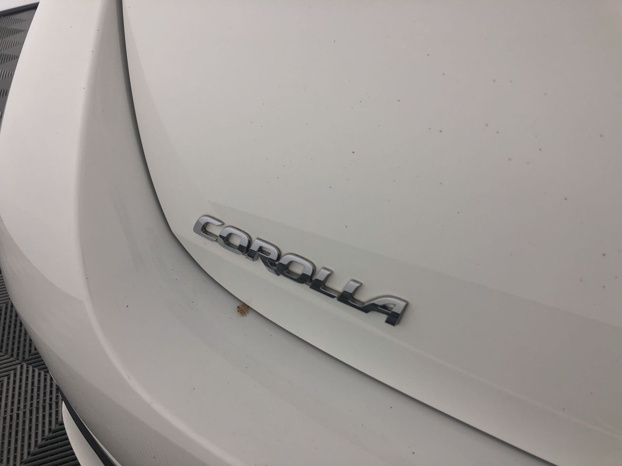 KAYTEE CRITTER Cruiser Pet Powered Exercise Car for Hamsters and Gerbils. Y