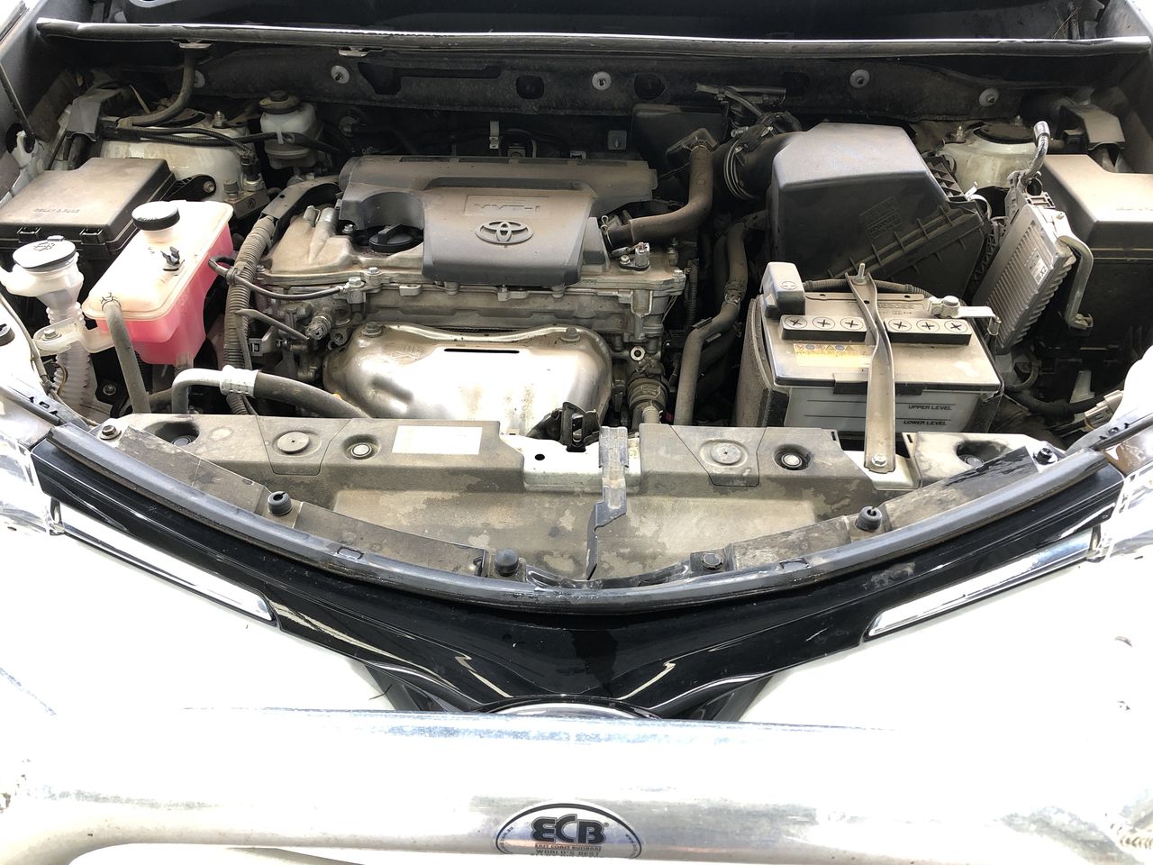 Zilzie Tendril & Vine Pinot Grigio 2025 (12x 750mL) VIC