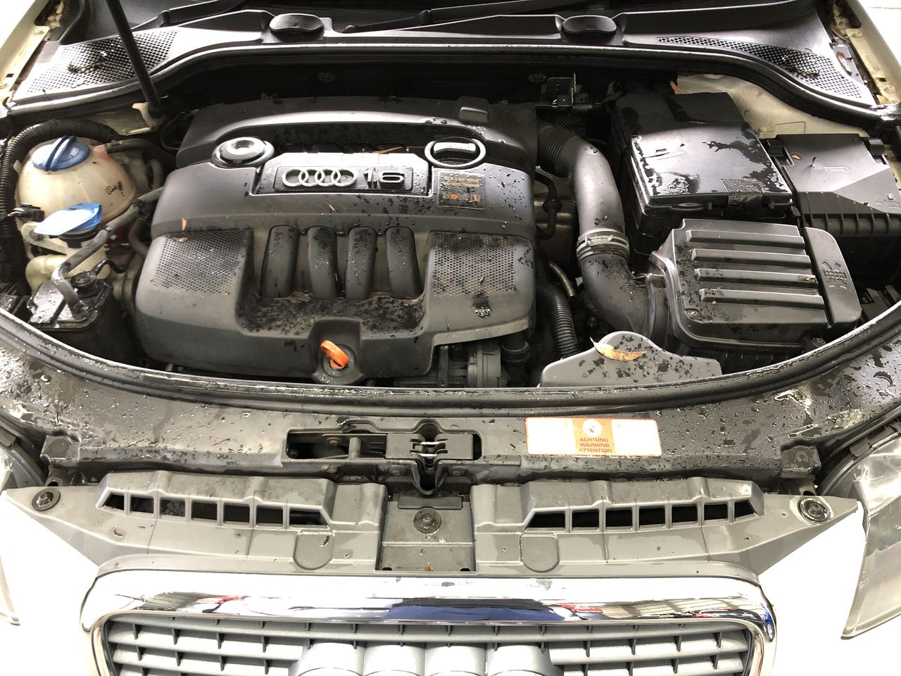 The Bowler Cleanskin Petit Verdot 2025 (12x 750mL) SA