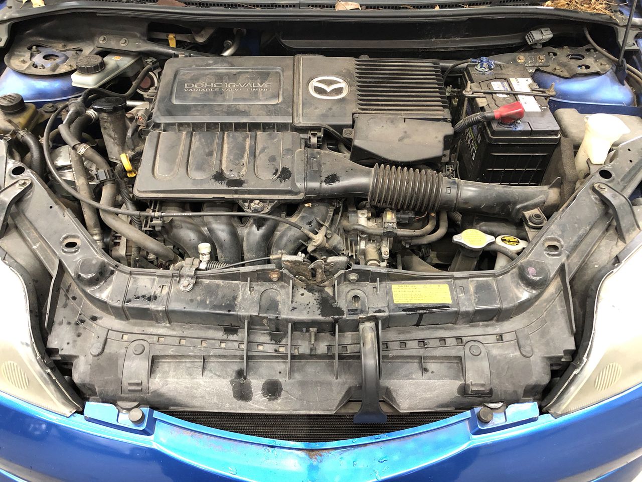 Black Chunky Choker Necklace