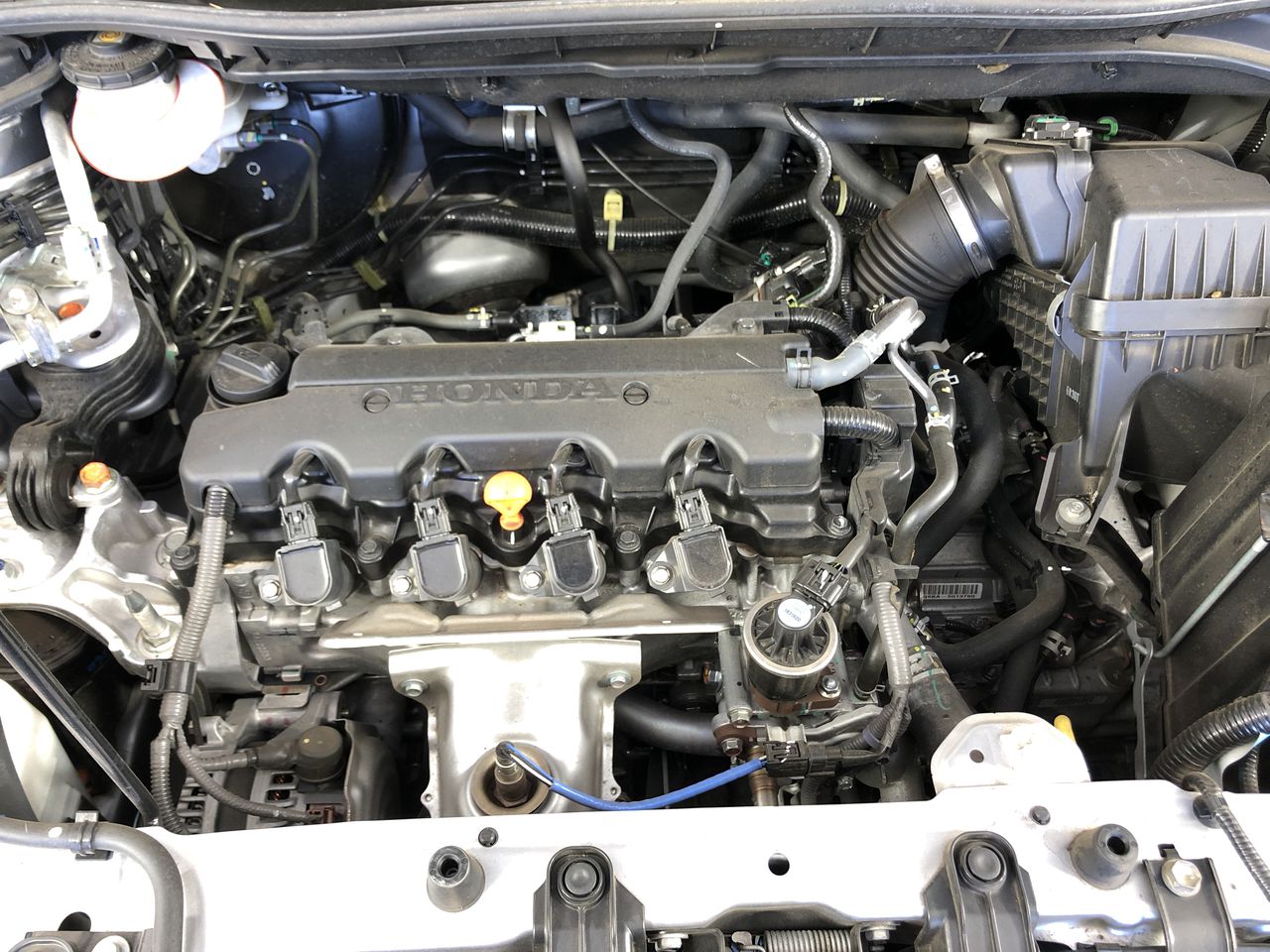 Younger Days Cabernet Sauvignon 2025 (12x 750mL), Heathcote, VIC.