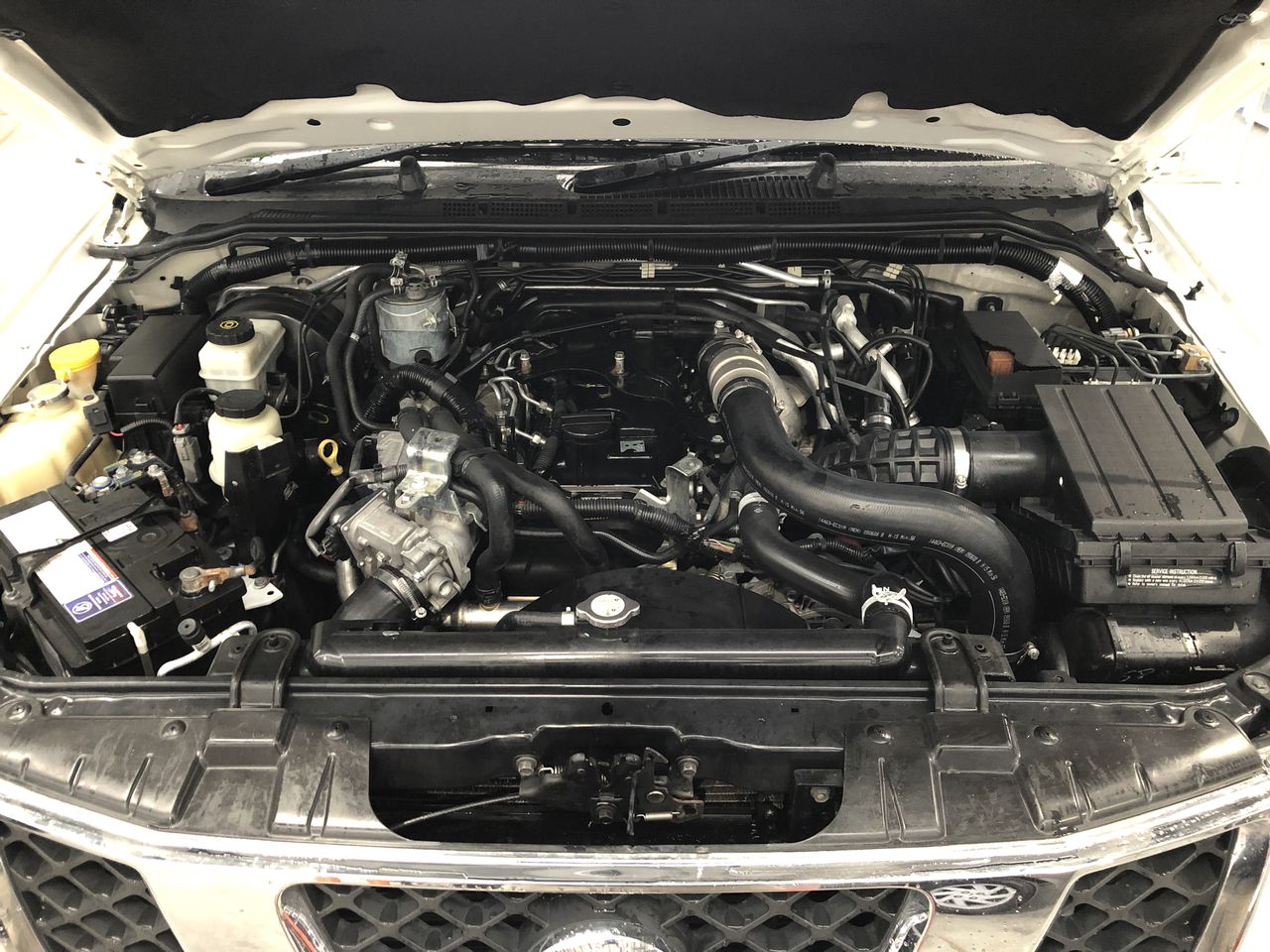 Younger Days Fiano 2025 (12x 750mL), VIC.