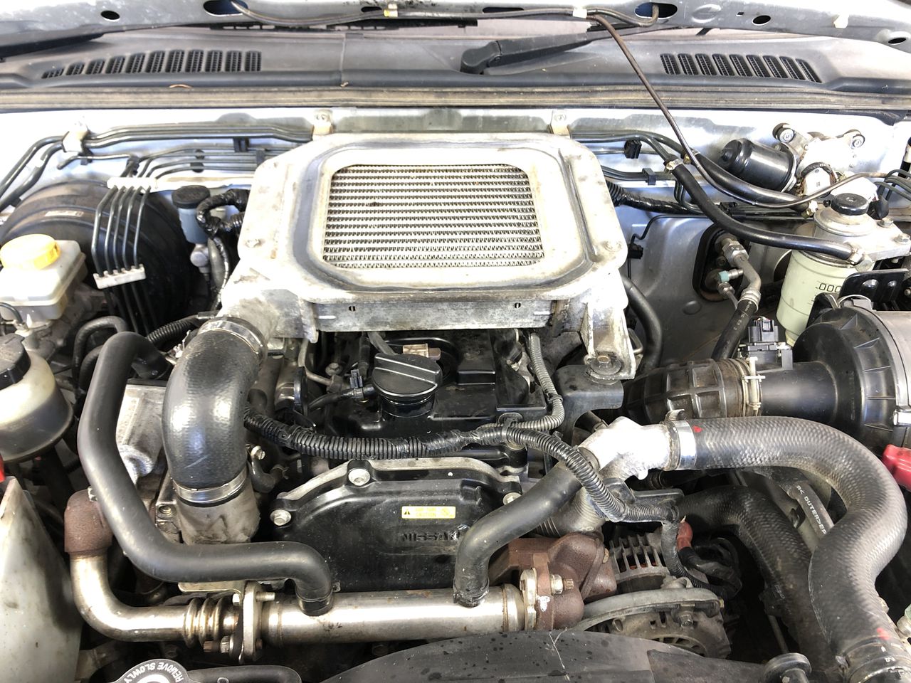 The Drover Pinot Grigio 2025 (12x 750mL) SEA