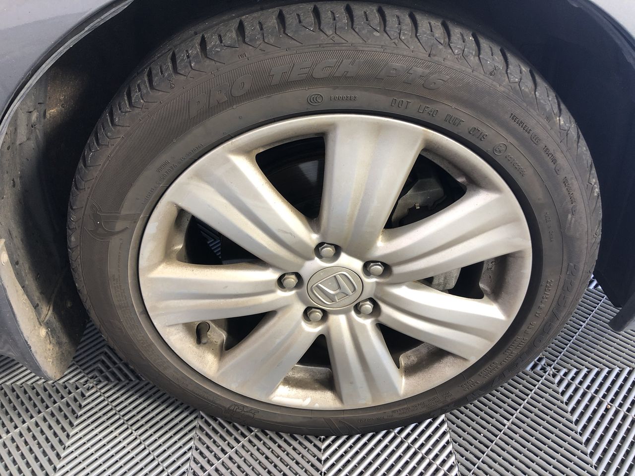 Echo Bay Shiraz Cabernet 2024 (12x 750mL) SEA