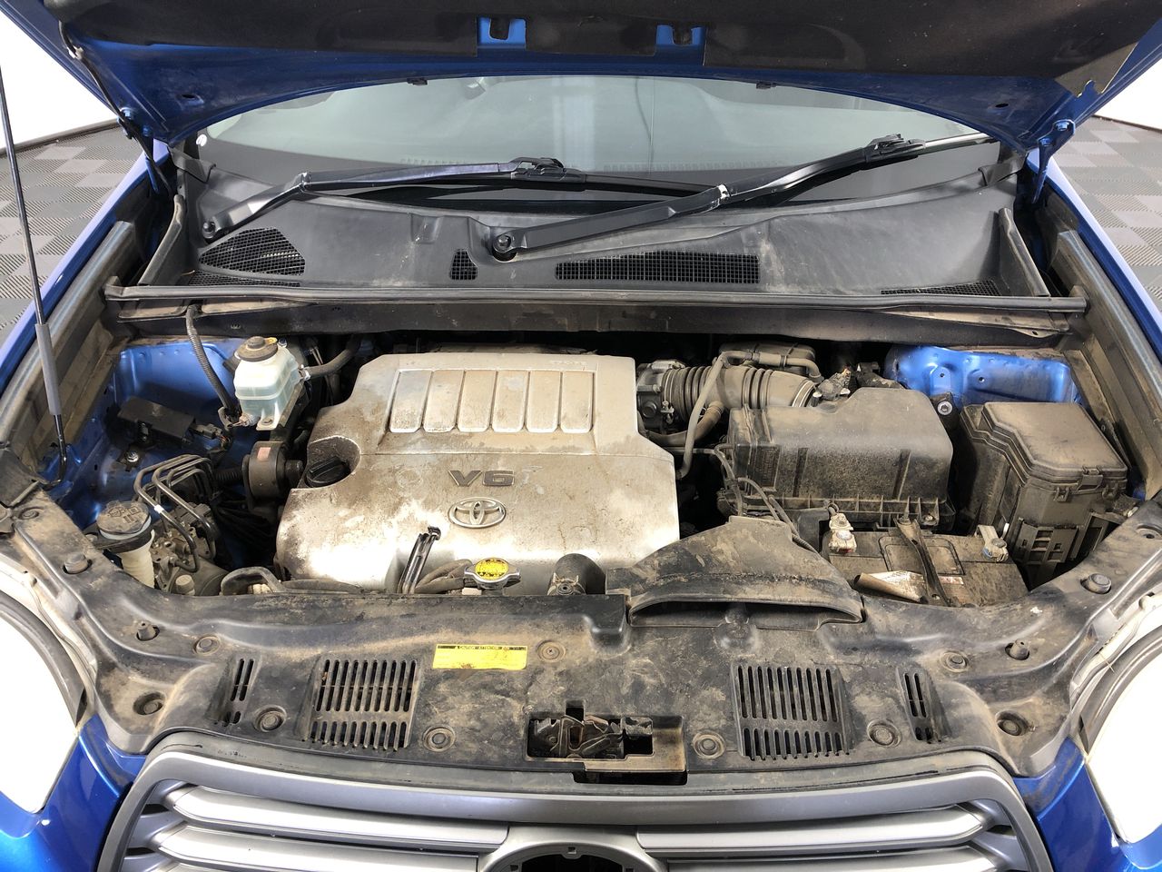 Southern King Taste Shiraz 2019 (6x 750mL) SA