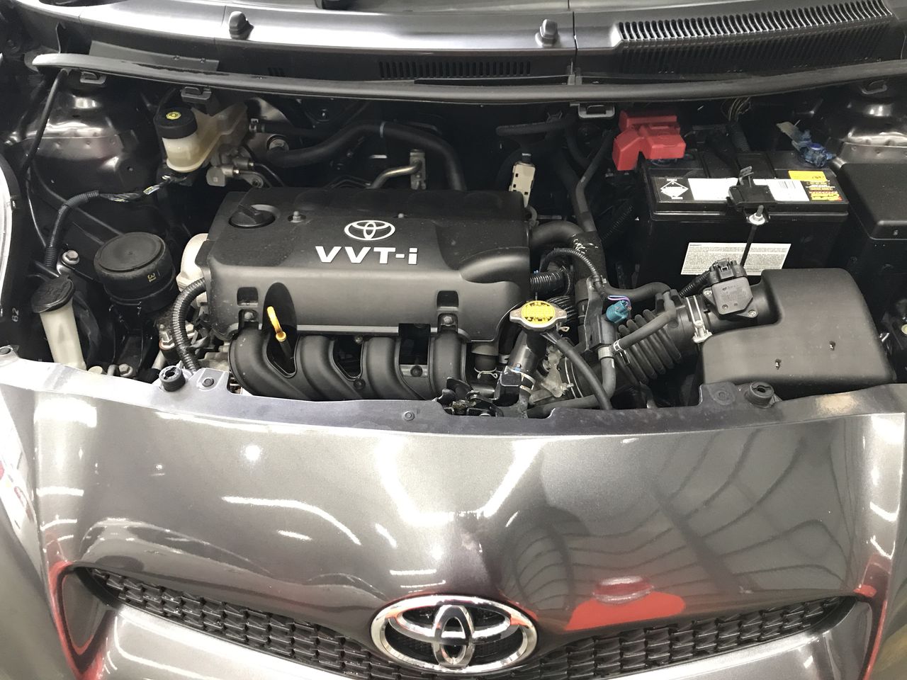 Charizard ex Japanese SV2a graded Pristine 10 slab.