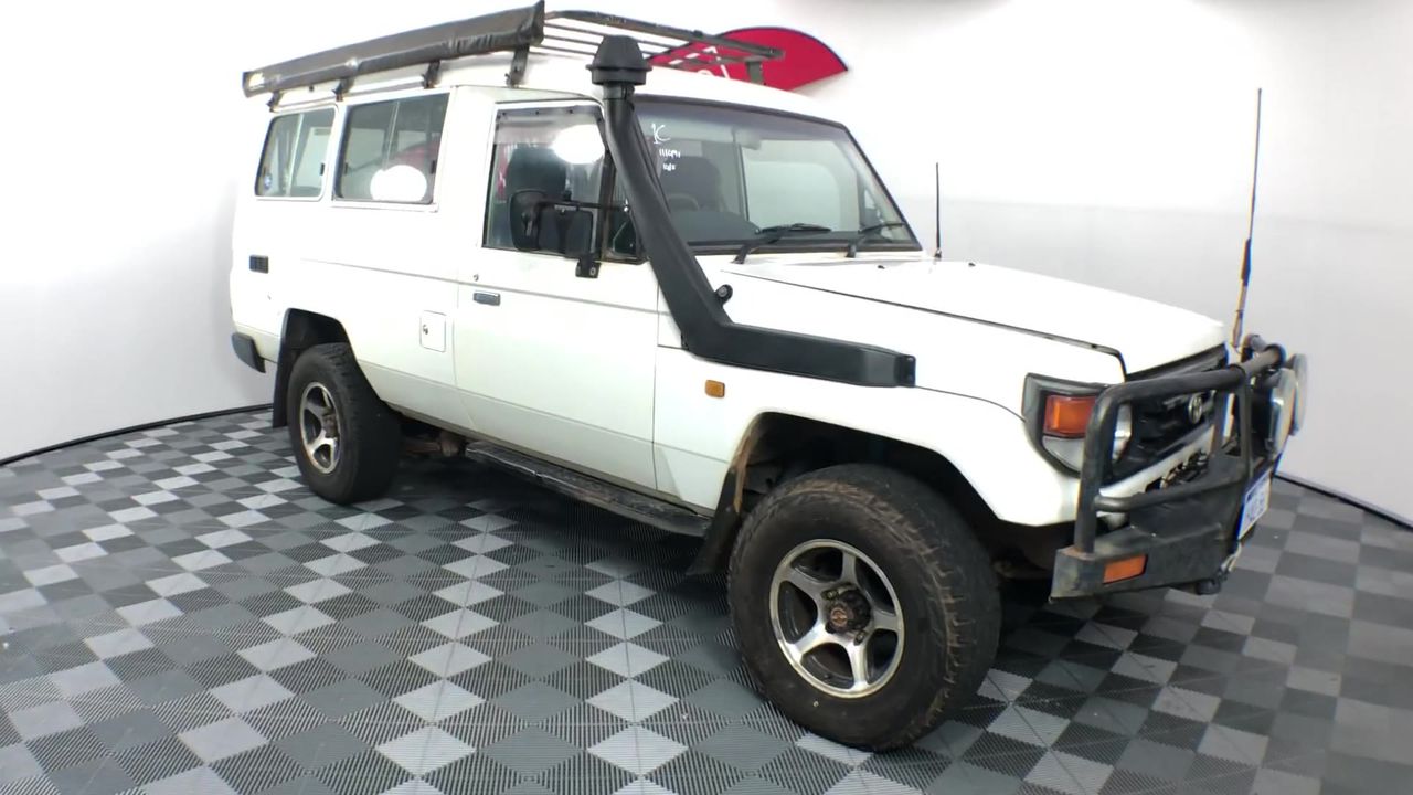 Set of 2 Large Wrought Iron Style Gates with Wildlife Scene (Unused)