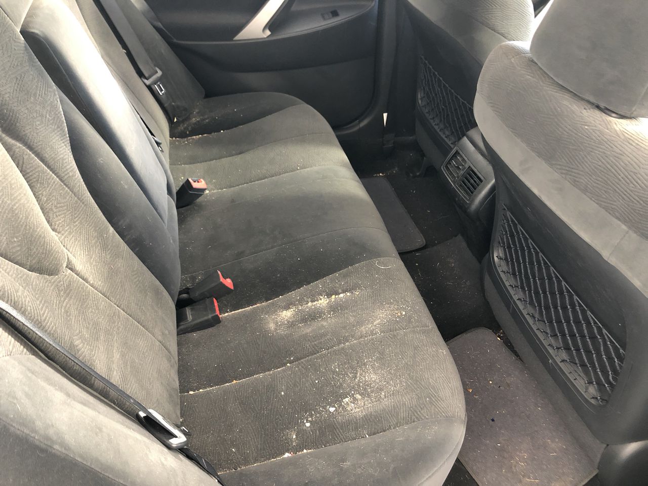 Fishbone Blue Chenin Blanc 2025 (6x 750mL) Geographe