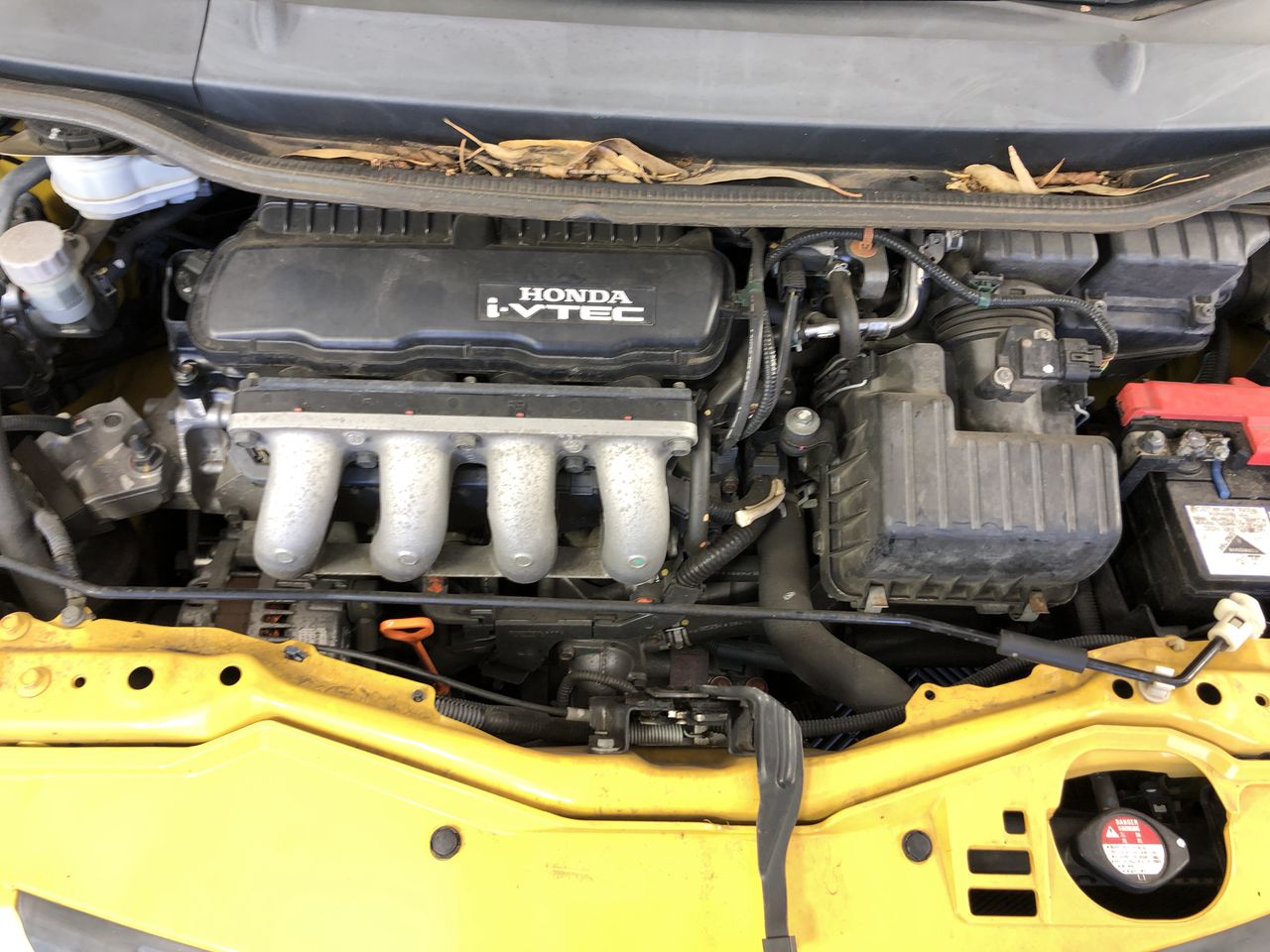 Elephant in the Room Pinot Noir (6x 750mL).