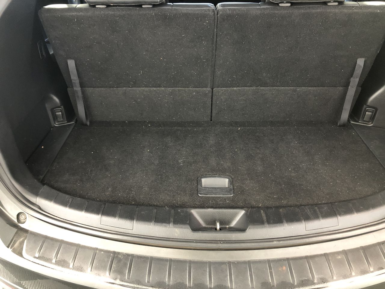 Stalking Horse Sauvignon Blanc 2025 (12x 750mL) Langhorne Creek, SA