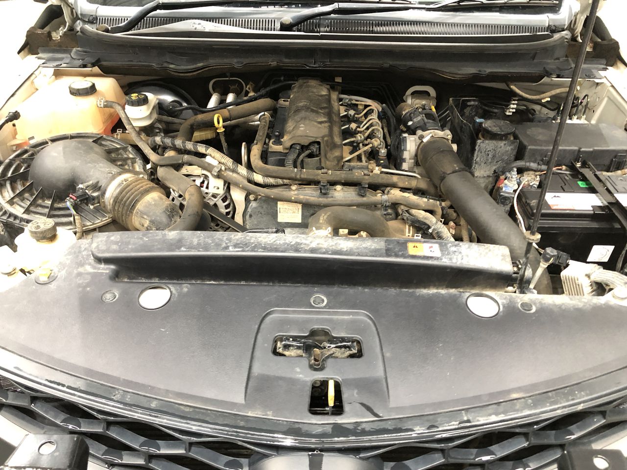 Younger Days Fiano 2025 (12x 750mL), VIC.