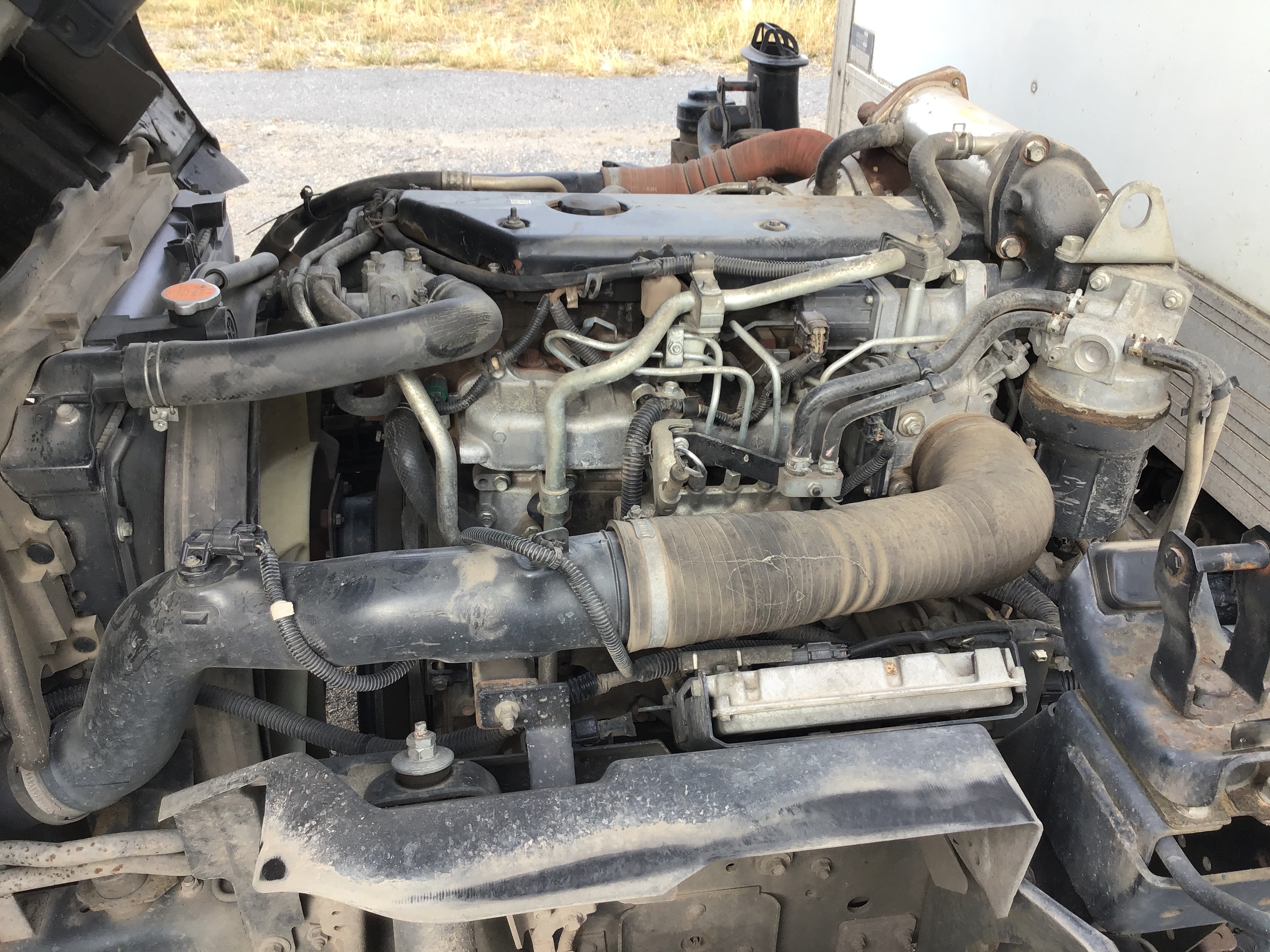 TOC Pristine 10 Galarian Zapdos V Japanese Pokémon GO. A striking Fighting