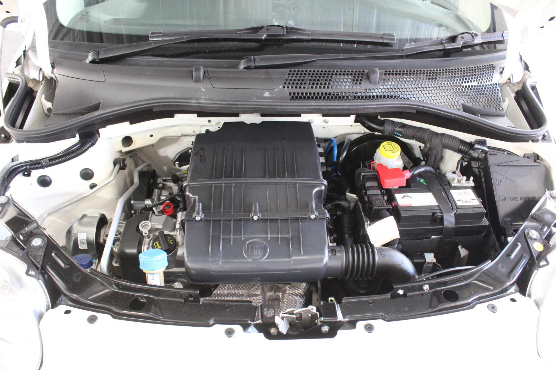 BULK, Collection, Aust Pre decimal, 300 x 1 Penny Roos, mixed GVI and QEII