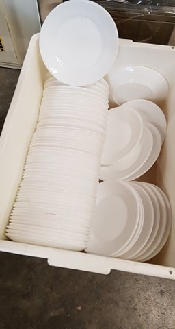 Quantity of 100 1650mm Star Pickets( Unused),