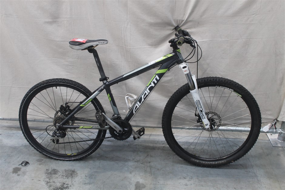 avanti montari mountain bike