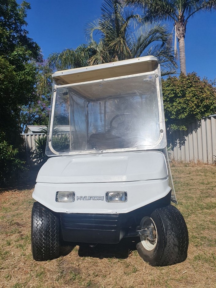 Hyundai Golf Cart with Trailer Auction (00029019690) Grays Australia