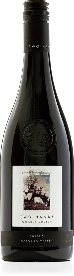 Two Hands Gnarly Dudes Shiraz 2021 (12x 