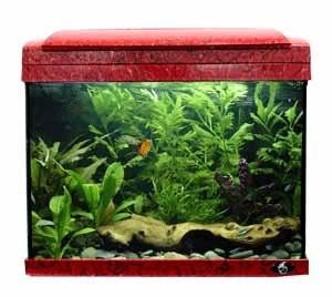 Aquatopia 2025 fish tank