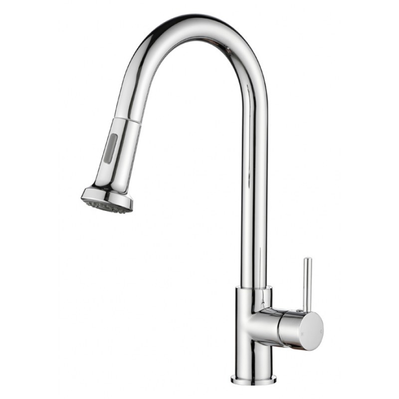 Round Chrome Pull Out Spray Kitchen Sink