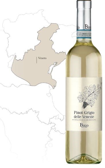 Bixio Pinot Grigio Delle Venezie 2021 (1