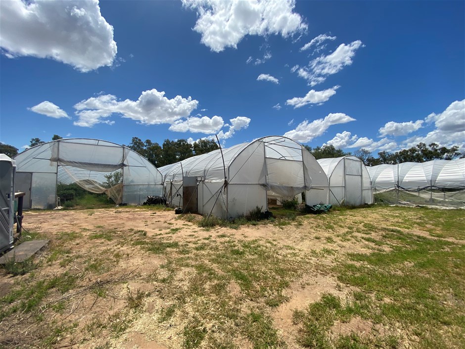 Commercial Greenhouses Auction (01617041750) Grays Australia