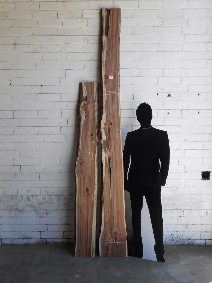 Double Slab Pack Australian Blackwood Auction (00175051227) Grays