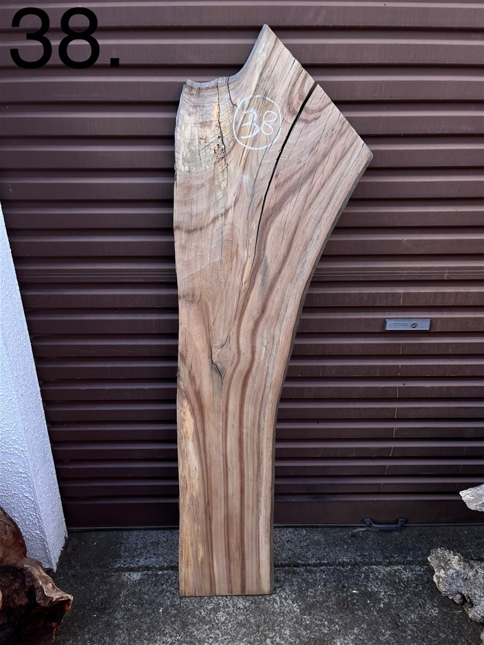 Timber Slab Tasmanian Blackwood Auction (00385052637) Grays Australia