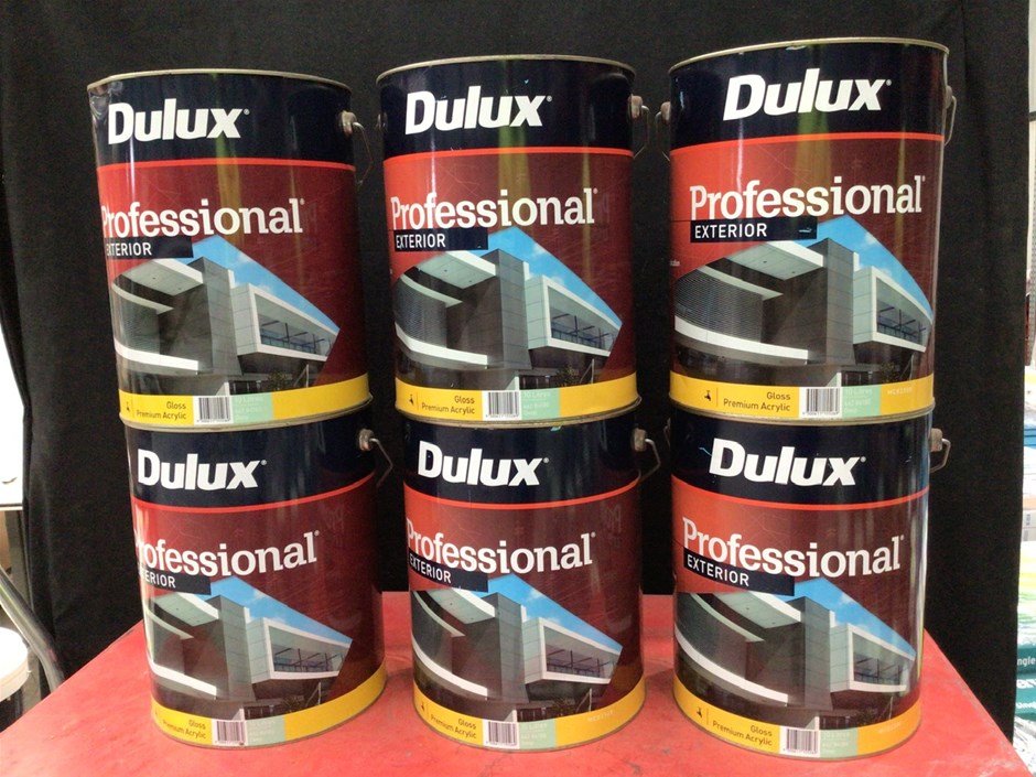 6 x 10 Litre Tins of Dulux Professional Paint Auction (00283025610