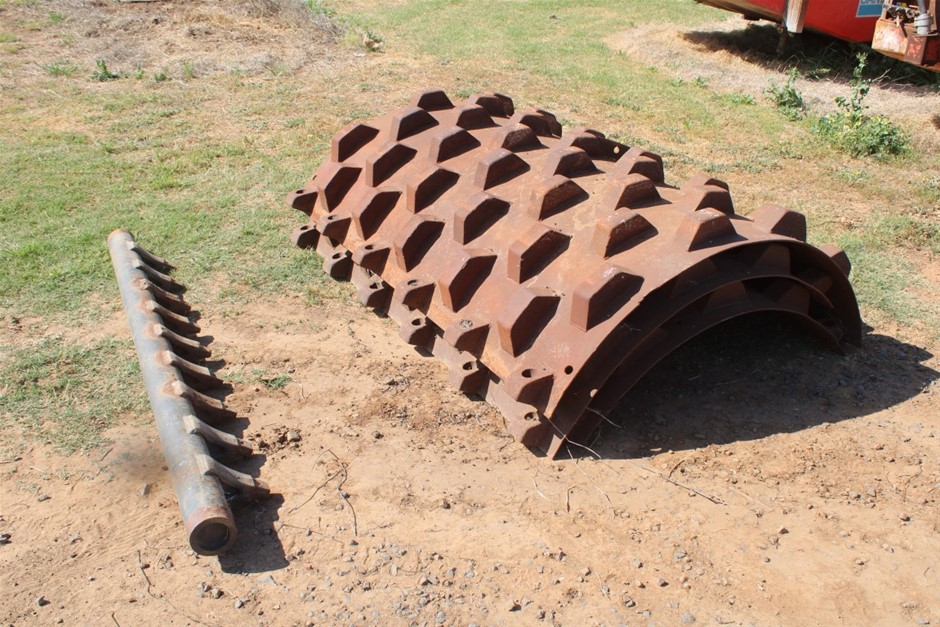 Padfoot Shells Auction (0028-5054137) | Grays Australia