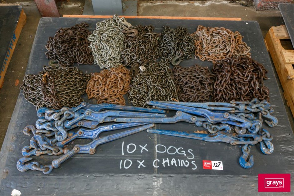 Assorted Lever Chain Dog tie Downs with Chains Auction (01275054433