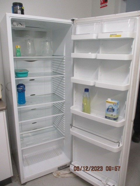 Fisher & Paykel Single Door Fridge Auction (0021-3027629) | Grays Australia