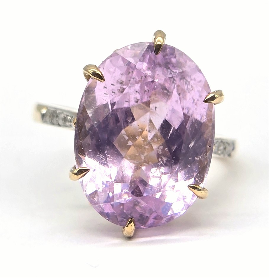 No Reserve Prestigious Sydney Estate