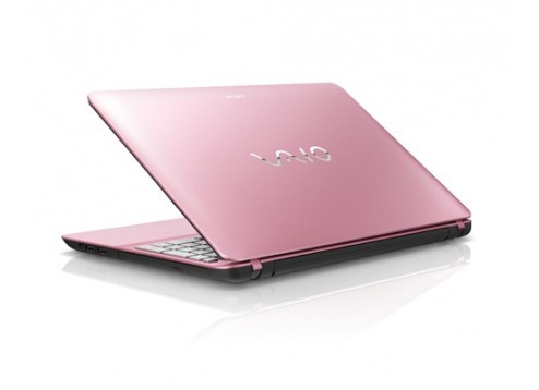 Sony VAIO® Fit SVF1521JCGP 15.5 inch Pin